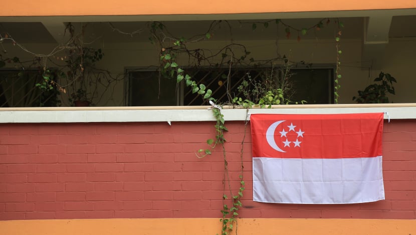 No plans to fine those displaying Singapore flag after Sept 30: Edwin Tong