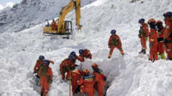 Related article image
