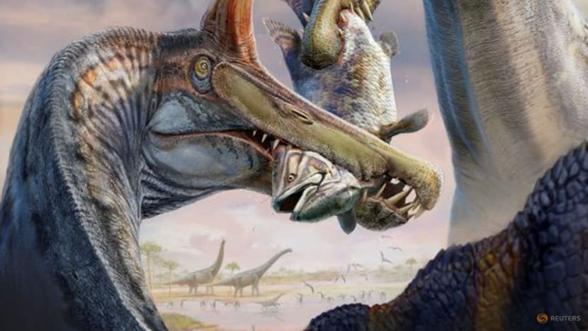 Fossils of a new species of huge dinosaur Spinosaurus unearthed in Niger