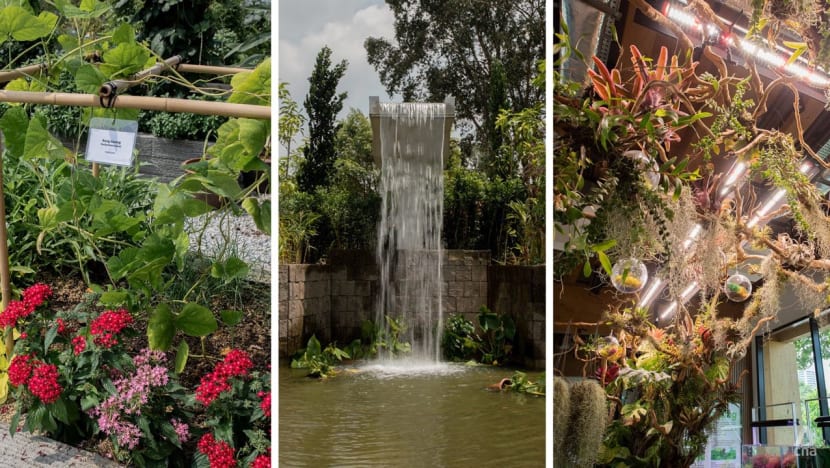 An edible garden, waterfall and 'breathing gallery': Chinese and Japanese gardens reopen with new attractions