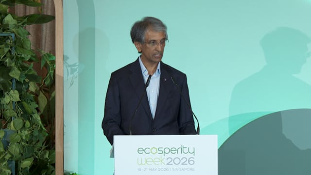 淡马锡控股：2030年减排目标或难实现 航空与发电业拖慢进程