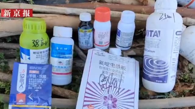 云南冻干草莓含多种农药 重金属超标15倍