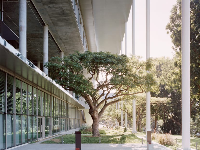 Net-zero buildings: More than design or engineering, but about 'better quality of life'