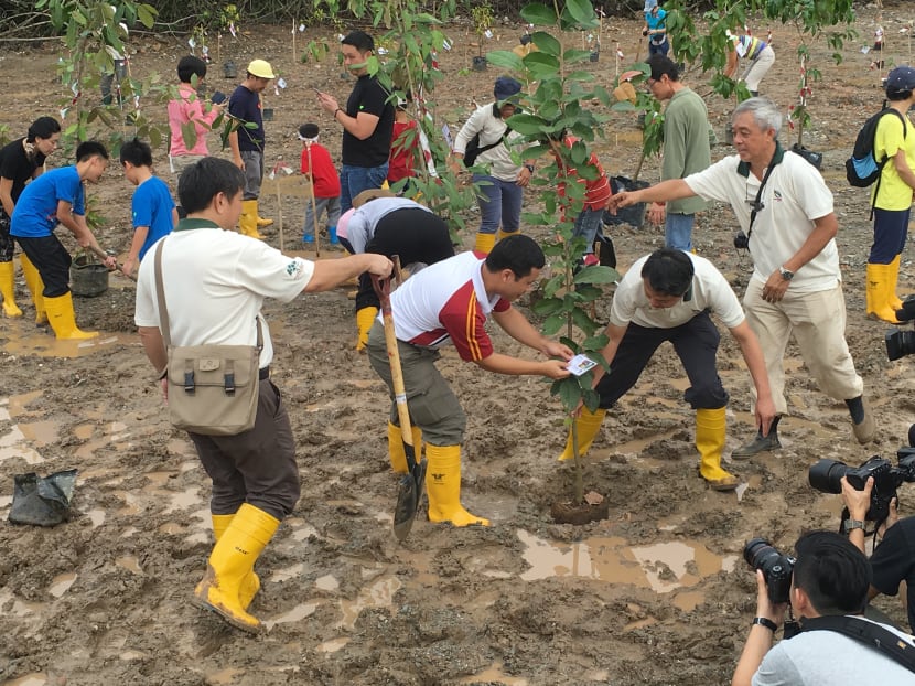Senior Minister of State Desmond Lee (foreground, second from left) joining the community in planting mangrove saplings at Pulau Ubin on Sunday morning.
Photo: Kenneth Cheng Senior Minister of State Desmond Lee (foreground, second from left) joining the community in planting mangrove saplings at Pulau Ubin on Sunday morning.
Photo: Kenneth Cheng