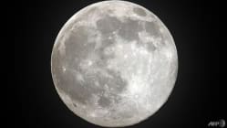 Related article image