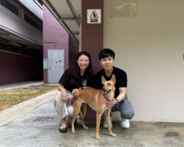 V Aesthetics Holdings Commits S$400,000 to Support Dogs in SOSD’s Care