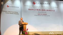 Related article image