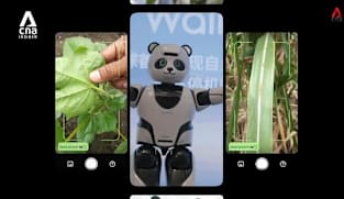 What's Coming Up - Raising Expectations