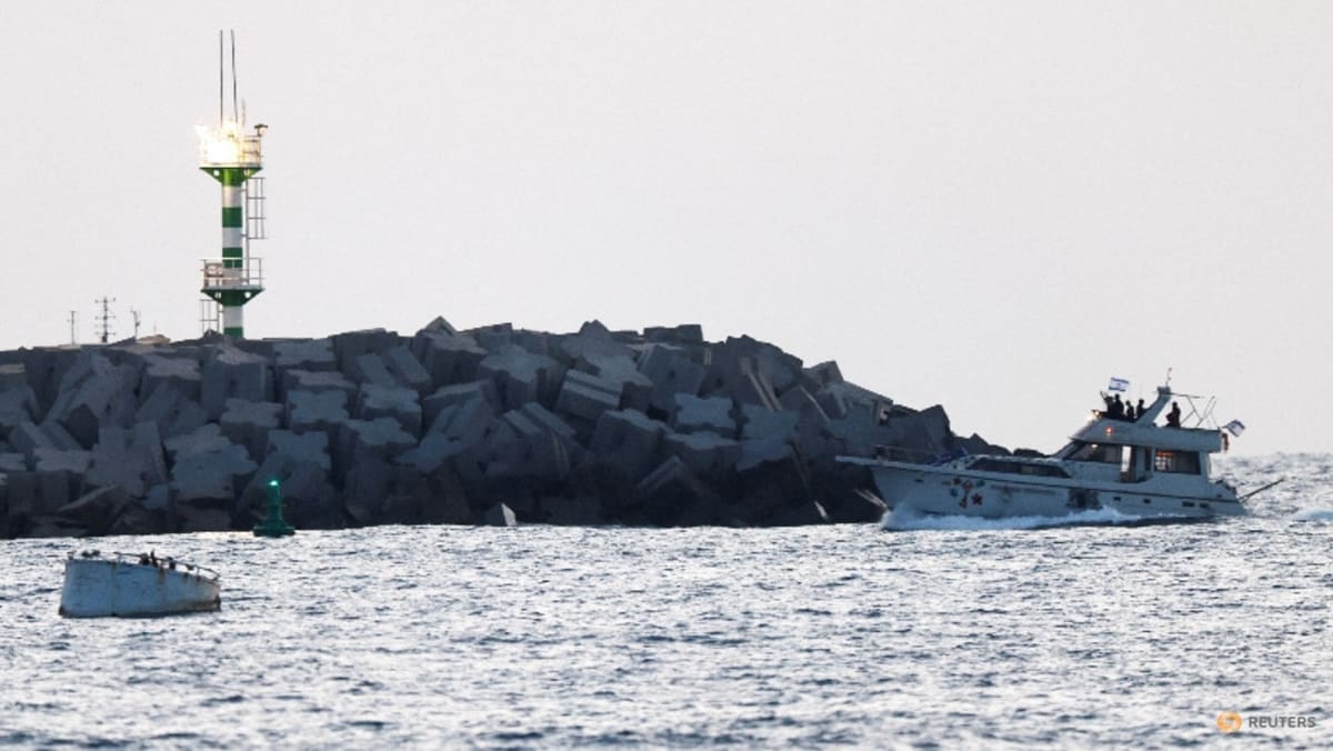 Israeli minister sparks outcry over video of bound flotilla activists