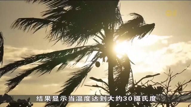 因热浪死亡的年轻人 比50岁以上人士多