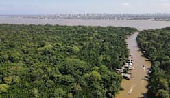 Trees, targets and trillions: What's on the agenda at COP30?
