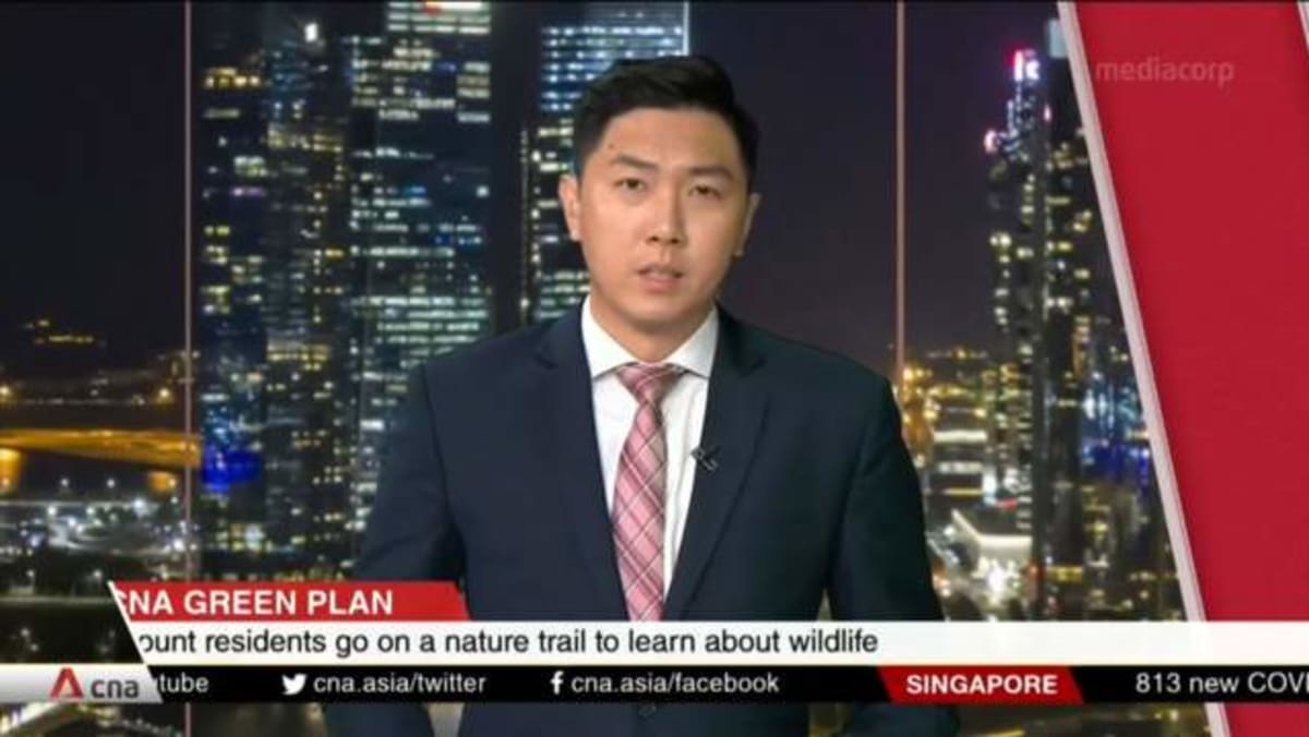 Marymount residents learn about sustainable living and biodiversity | Video  - CNA