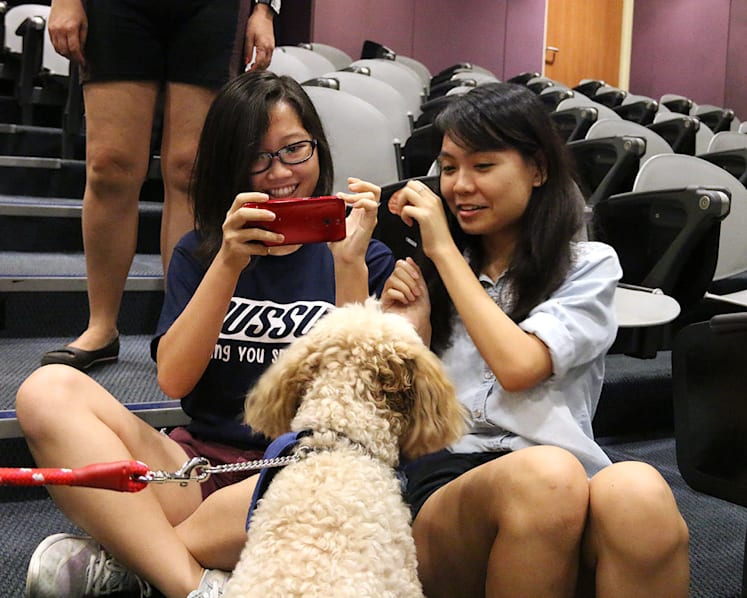 NUS students find a pawsome way to destress