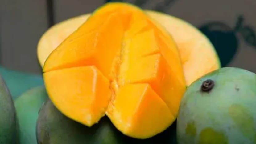 Cuaca panas tingkatkan hasil, mutu mangga Harumanis di Perlis