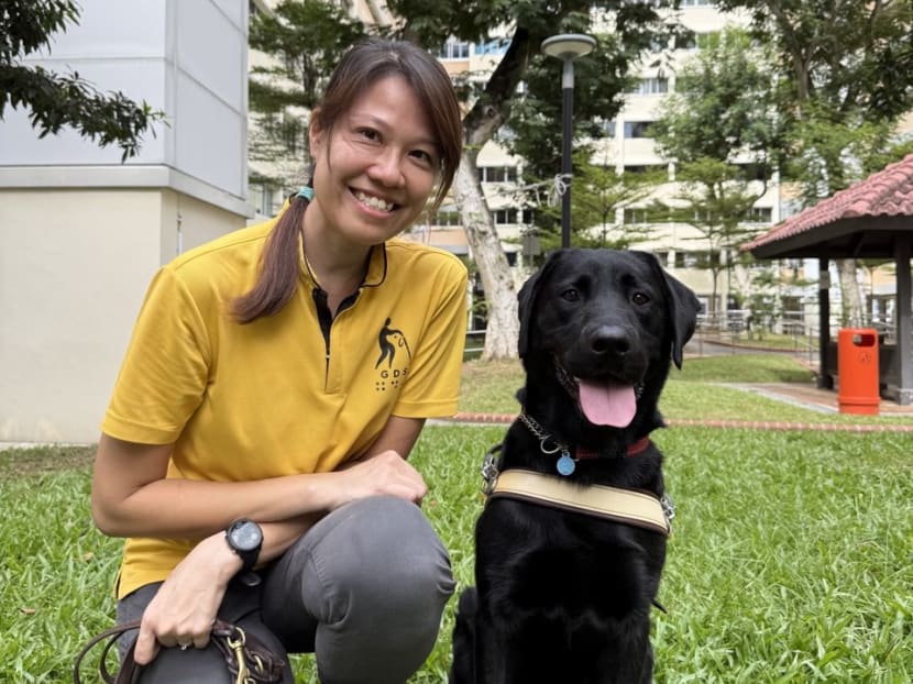 She trains guide dogs in Singapore so blind people can get around independently and confidently