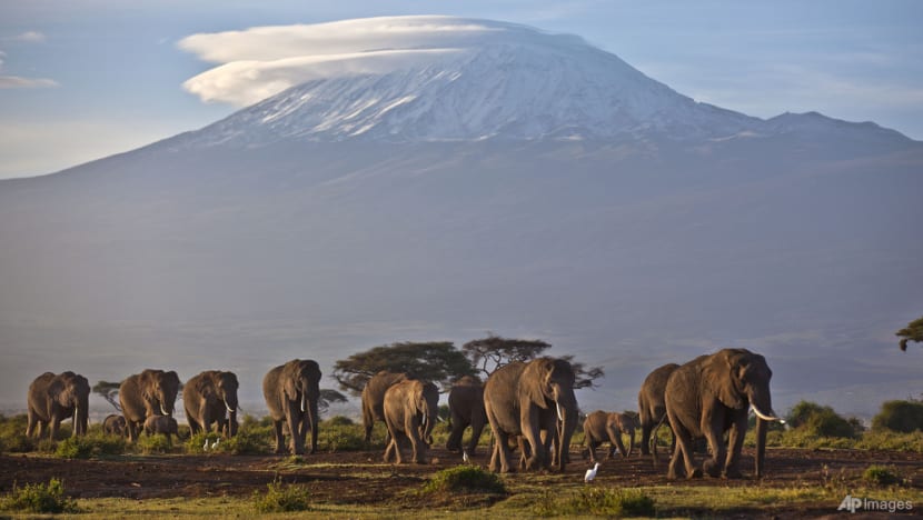 Singaporean who died on Mt Kilimanjaro appeared well following return to campsite: Local tour operator Singaporean who died on Mt Kilimanjaro appeared well following return to campsite: Local tour operator
