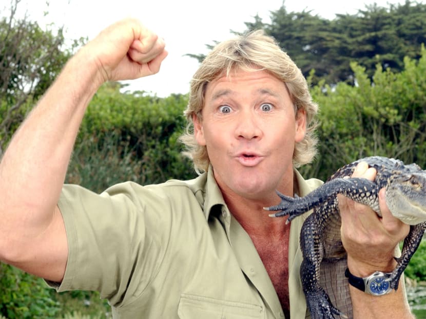 Gen Y Speaks: What my childhood hero Steve Irwin taught me Gen Y Speaks: What my childhood hero Steve Irwin taught me