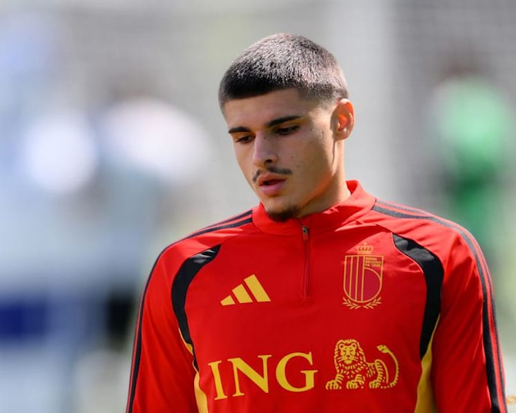Newcastle sign Belgium forward Fernandez-Pardo from Lille