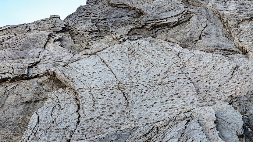 Thousands of dinosaur footprints found on Alpine cliffs near Winter Olympics site