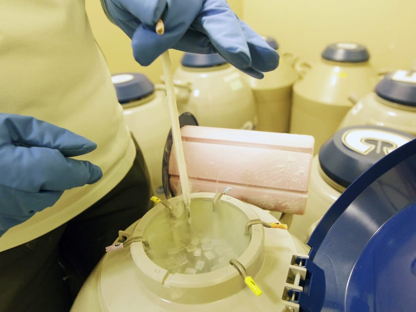 An employee checks oocytes and embryos (in the sealed test tubes) in tanks filled with liquid nitrogen in a storage room at a reproductive centre.  While more than 20,000 American women have had their eggs frozen, the vast majority have not had their eggs thawed. Photo: Reuters