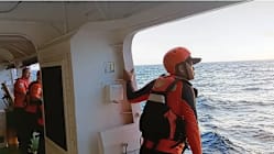 Related article image