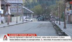 Economic implications of decades-long tensions in Kashmir