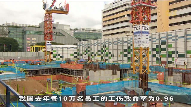 促进职业生涯安全与健康行动联盟下半年成立