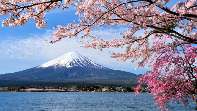 日本即日起全面开放边境 迎接自由行国际旅客
