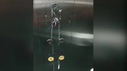 Related article image