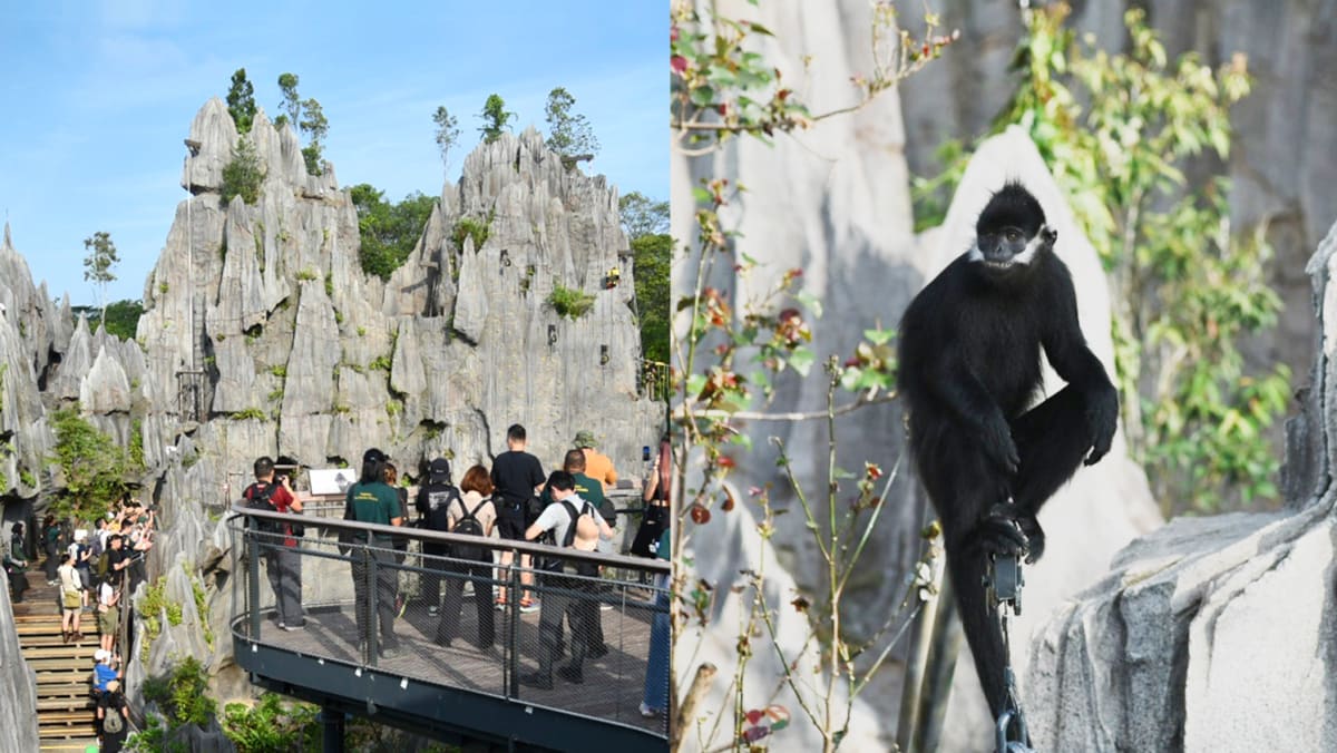 First look: Rainforest Wild Asia at Mandai opens Mar 12 with 8 themed zones, lots of animals, fun activities