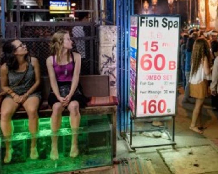 What you need to know about fish spas – and who should avoid them