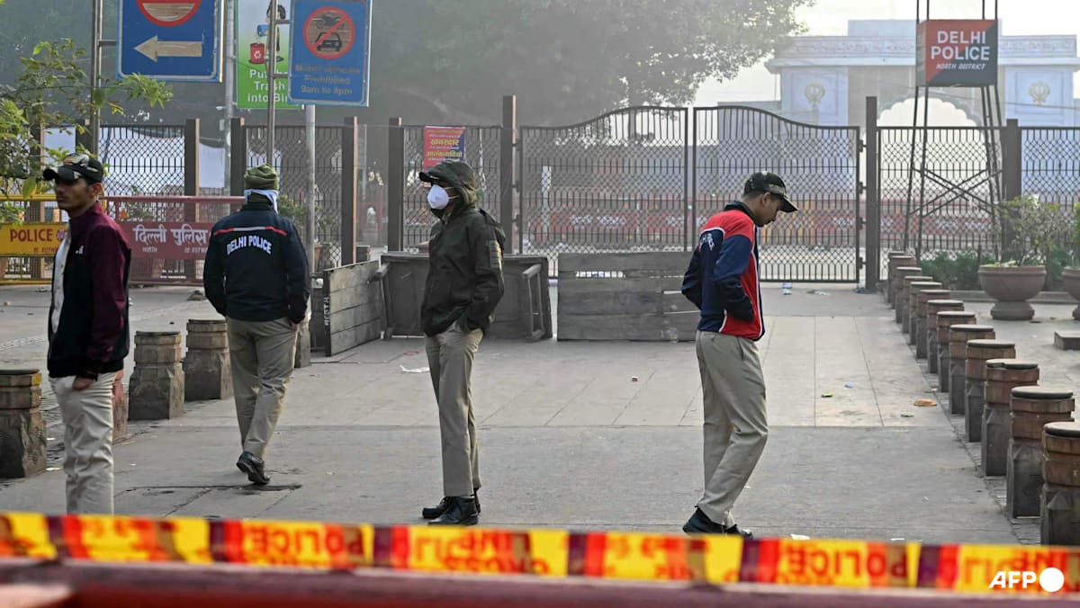 Indian police carry out sweeping raids in Kashmir