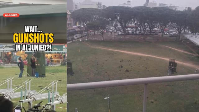 阿裕尼地铁站附近射杀乌鸦引热议 请愿书获逾2500人联署