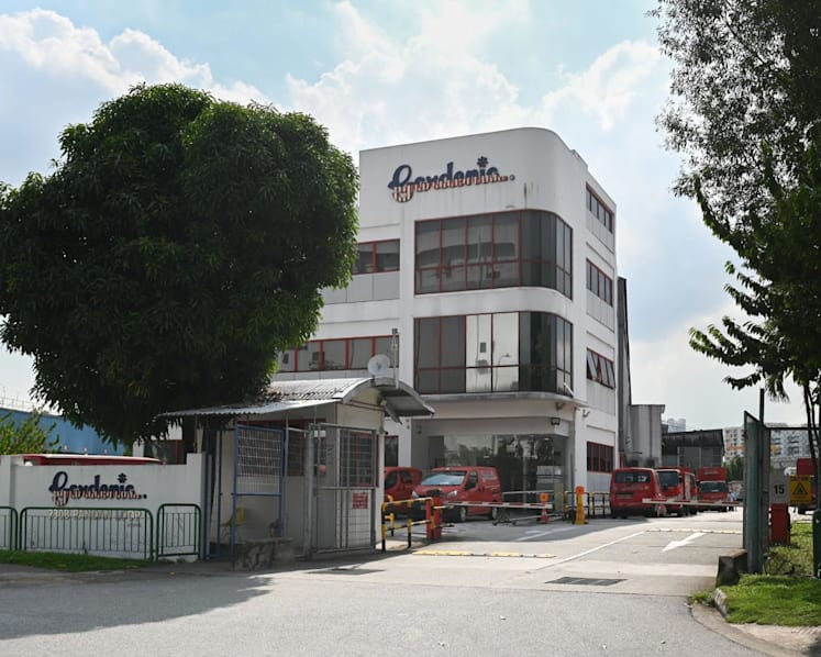 Gardenia 6