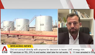 UAE announces it will leave OPEC and OPEC+ from 1 May