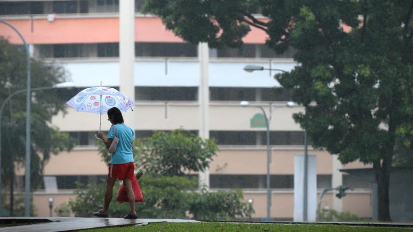Showers bring respite from haze with more rain expected in coming days: NEA