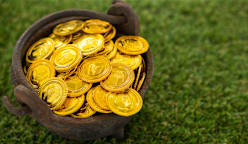 வாத்தின் வயிற்றுக்குள் தங்கம்