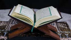 Related article image