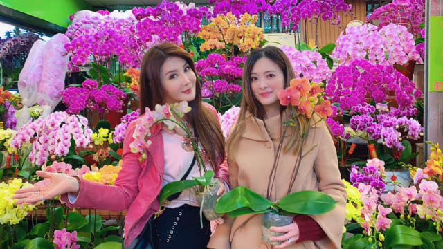 刘真49岁冥诞　闺密杨丽菁晒合照道思念