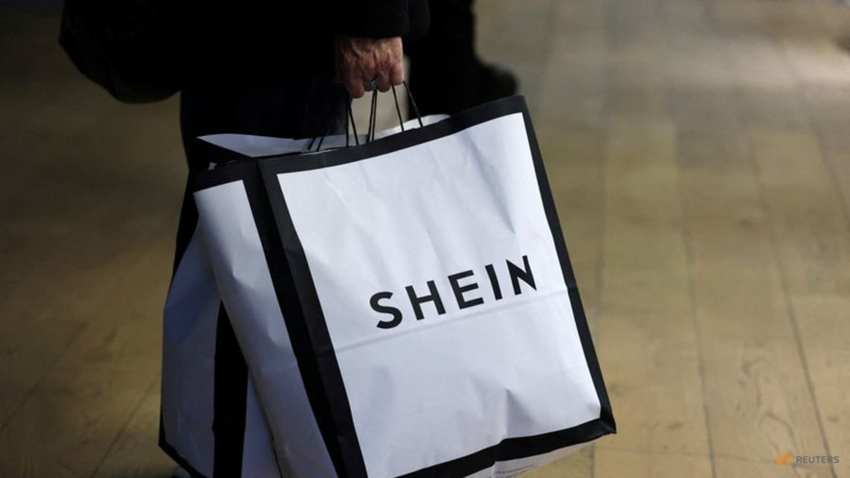France seeks 3-month suspension of Shein, ministry official says