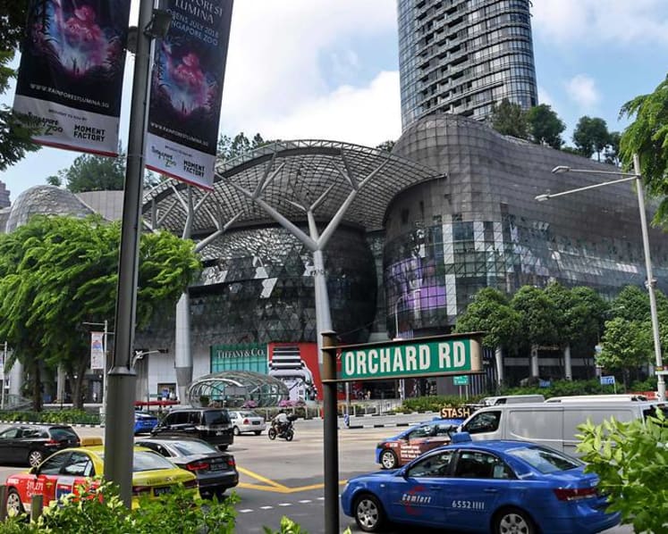 Woman allegedly sneezes in another woman's direction at ION Orchard, charged with causing harassment