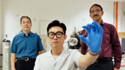 Related article image