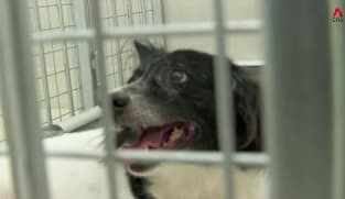 Singapore Tonight - Tue 23 Dec 2025