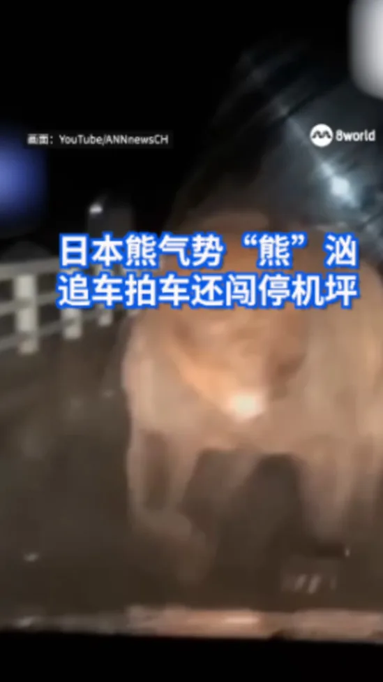 1112_Japan Bearchase_2HD