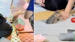 Gambar Pilihan Hari Ini