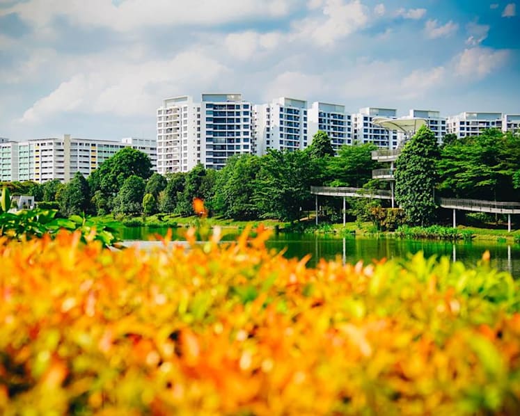 Freehold HDB flats: Here’s how it may work, with strings attached