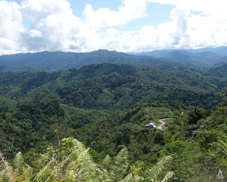Sabah 100-year carbon trading deal: Controversy as indigenous communities bemoan lack of consultation, details