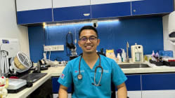 Related article image