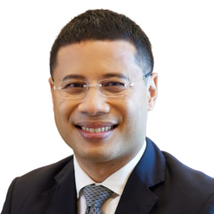 Mr Desmond Lee