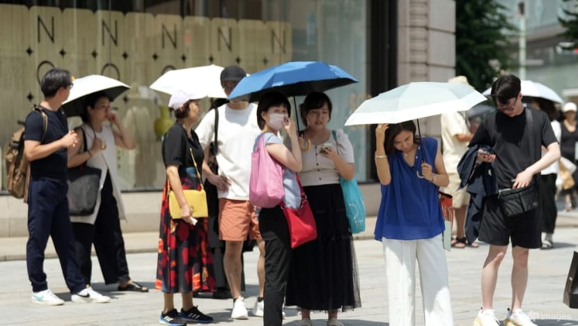 Japan's Hokkaido sizzles as heat stroke alerts issued Japan's Hokkaido sizzles as heat stroke alerts issued